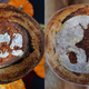 Everybody’s Making Sourdough in 2020 But My Sister's Is the Nerdiest